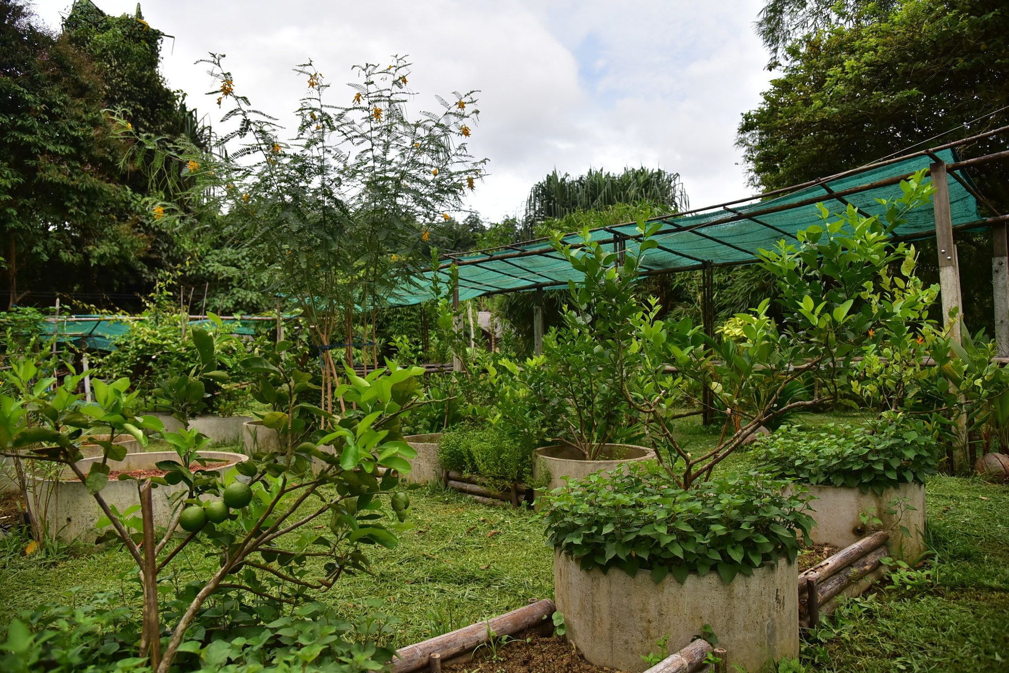 Khao Sok Homestay Resort Khao Sok National Park Esterno foto